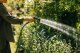 Watering hose FISKARS X-series, 1/2", 13 mm, 25 m 4