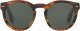 Okulary przeciwsłoneczne Damskie Ralph Lauren RL 8146P 2