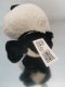 Panda miś maskotka plusz duża głowa 21cm 5