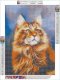 Haft Diamentowy, Obraz, Mozaika Diamentowa Diamond Painting, RUDY MAINE COON 30x40cm 1