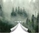 FOTOTAPETA WODOSPAD 3D LAS NATURA KRAJOBRAZ SALON TAPETA NA ŚCIANĘ 350x250 1