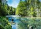 FOTOTAPETA WODOSPAD 3D LAS NATURA KRAJOBRAZ SALON TAPETA NA ŚCIANĘ 350x250 7