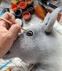 Hobby Horse Duży koń na kiju Premium - siwy z białą grzywą A3 7