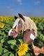 Hobby Horse Duży koń na kiju Premium - western IV ciemnogniady z jasną grzywą A3 2