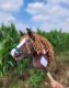 Hobby Horse Mały koń na kiju Premium - western ciemnogniady z ciemną grzywą A4 7