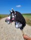 Hobby Horse Mały koń na kiju Premium - tarantowaty biało-czarny z czarną grzywą A4 1