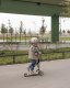 Scoot and Ride Ochraniacze dla dzieci, na rolki, wrotki, hulajnogę, rozm. S, kolor: Ash 16