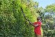Cordless hedge trimmer RYOBI RY36HT60A-120, 36 V, 2.0 Ah, 60 cm 1