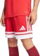 Adidas Koszulka męska adidas Squadra 25 czerwona JE2601 L 7