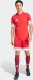 Adidas Koszulka męska adidas Squadra 25 czerwona JE2601 L 8
