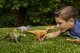 Jurassic World HTK72 figurka dla dzieci 6