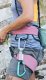 Edelrid Autana 7