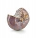 SAGGIO APPLE Figura 12,5x7x13cm 1