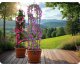 Pergola ogrodowa kolumna 200 cm Plonos PL-992 7