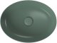 UMYWALKA NABLATOWA LARGA ELIPSA (50X38) ZIELONY MAT BOX 2