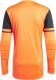 Adidas Bluza adidas SQUADRA 25 GK JSY JG1130 2