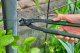 KLESZCZE Concreter's Nippers 225 mm 14