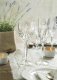 Crystal wine glasses RCR OASIS, 230 ml, 6 pcs. 3