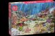 *****Puzzle 2000 Cherrypazzi CoralReefParad.50132 7
