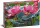 *****Puzzle 500 Cherrypazzi PinkLotus 20012 4