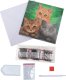 Cats, 18x18cm Crystal Art Card 1