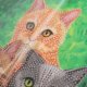Cats, 18x18cm Crystal Art Card 3