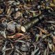 Latarka Armytek Dobermann PRO MAGNET USB Olive 4