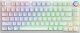Klawiatura Savio Phenix Gateron Yellow Pro (PHENIX WHITE GAT YELLOW) 1