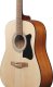 V50NJP-OPN Acoustic guitar set (Natural) 3