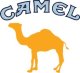 Gilzy papierosowe CAMEL 200szt X 5 3