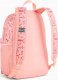 Pleack Puma Phase 091324-02 2