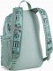 Pleack Puma Phase 091324-01 2