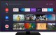 Orava 43" TV, 4K Ultra HD, D-LED, Android, smart, WiFi, HDMI, Bluetooth, Netflix, Chromecast, Dolby Vision 1