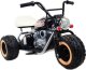 MOTOR CALIFORNIA SCOUT JAZDA NA TYLNYCH KOŁACH - 1600 WAT/LL6688 EDUKAMP 3