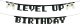 Baner Level up 2,5m mix 29309 1
