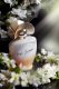 MAISON ASRAR Dear Jasmine EDP spray 100ml 4