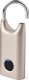 Lexon Nomaday Fingerprint Lock soft gold LL128D 2