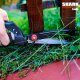 Nożyce  Shark tools N1.1 do trawy 5