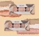 Hean Glow Nude Paleta do konturowania 8g Dayglow (1) 3