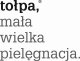 Tołpa My skin Changer Renew Me Serum odnawiające 30ml 3
