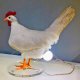 Lampka Kura Zwariowany Kurczak Znoszący Jaja Na Usb Lampa Śmieszny Prezent 1