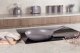PATELNIA TYTANOWA 24cm BERLINGER HAUS BH-8083 TAUPE 8