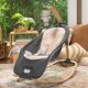 INGENUITY Rocking Seat EVERY SEASON Wesley(tm) 0 - 30 m., GREY, 16855 2