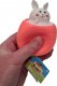 Peek-A-Boo Bunny, NV580 1