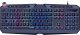 Speedlink keyboard Ludicium RGB Rainbow US (SL-670004-BK-US) 1