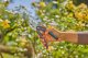 Secateurs GARDENA SuperCut Flex, 24 mm 2