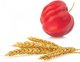 E-Naturalne Maska algowa peel-off z acerolą owsem i jagodą 90g 1