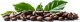 Kawa ziarnista 1kg ROBUSTA 100% do ekspresu + GRATIS 12
