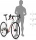 Rower szosowy Kellys ARC 30 (53) one size 1