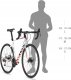 Rower szosowy KELLYS ARC 10 S one size 4